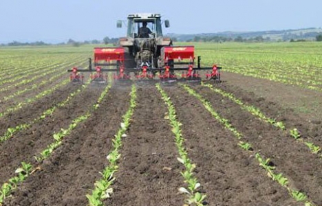 Meram'a 6 milyon metrekarelik tarım merkezi!