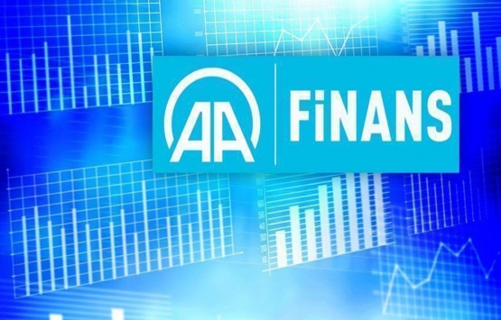 AA Finans Ödemeler Dengesi Beklenti Anketi sonuçlandı!