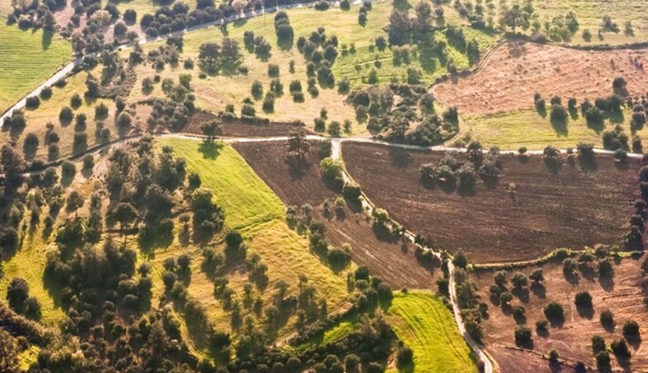 Belediyeler, Balıkesir ve Malatya'da 37 adet arsayı satıyor! 231 bin TL'den başlayan fiyatlarla... 