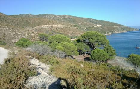 Armutlu Fıstıklı ve Kapaklı Köyleri kıyı kenar çizgisi onaylandı!