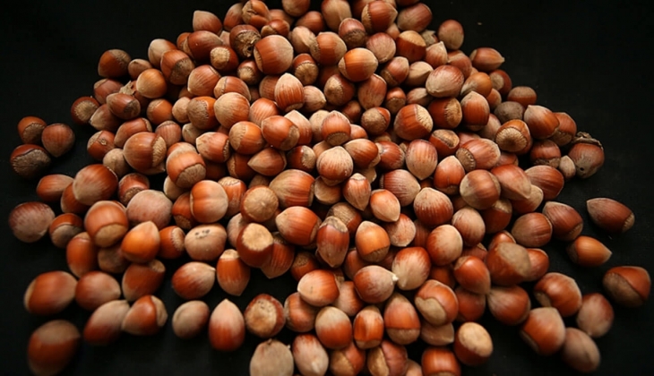 Fındık fiyatı ne kadar? Serbest piyasada fındık fiyatları kaç TL? Ordu, Samsun, Sakarya 20 Aralık 2022 fiyat listesi