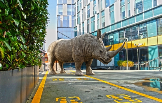 Nef Özge Günaydın ın Rhinos Back in Town isimli sergisine sponsor oldu! 