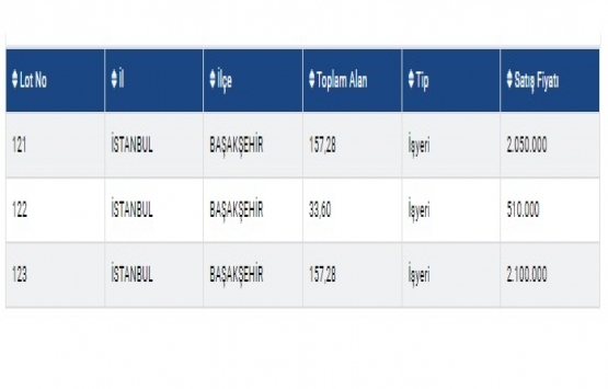 İstanbul Gıda Toptancıları Sitesi ndeki 123 iş yeri satışa çıkıyor!