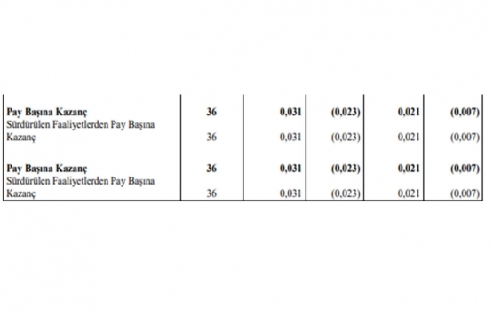 Özderici GYO 2021 in ilk yarısında ne kadar hasılat elde etti?