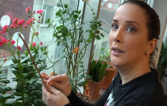 Janset: Ferrarimi satıp Datça’ya yerleştim!