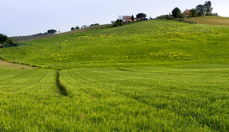 Milli Emlak’tan Eylül 2024 müjdesi! Hem Tekirdağ hem de Zonguldak’ta KDV’den muaf arsalar satacak!