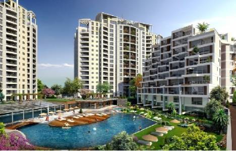 Nuvo Dragos resimleri!