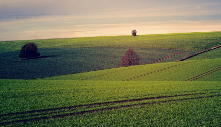 Kahramanmaraş ve Malatya da 148 adet arsa satılıyor! Peşinde yüzde 20 indirimle ya da 24 ay vadeyle ödeme fırsatı!