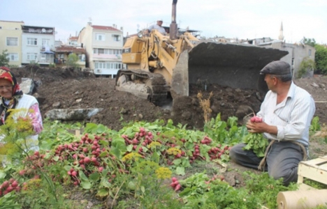 Yedikule Bostanları miras değil mi?