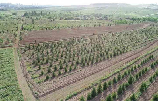 ABB iştiraki Anket A.Ş. den AOÇ arazisi için 75 bin TL teklif!