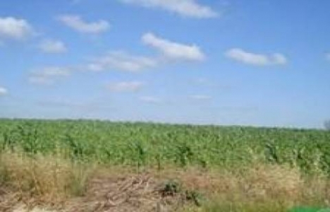 Silivri'de tarım arazilerini kanal manzaralı diye satıyorlar!