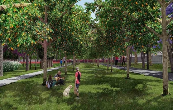 Tokat millet bahçesi