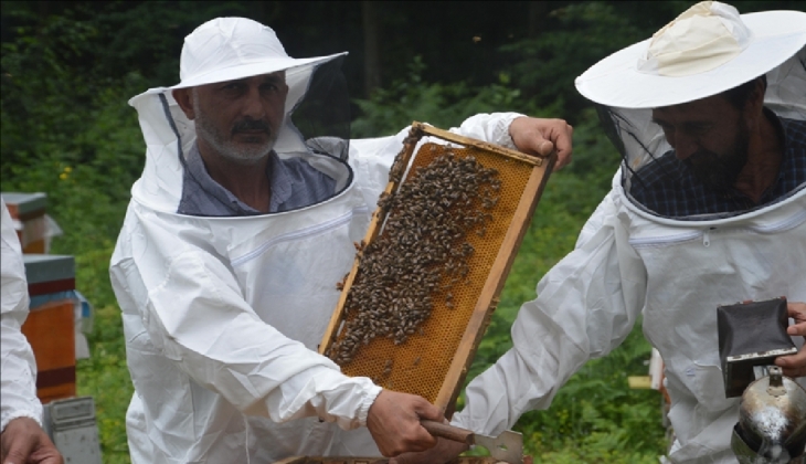 Balın kilogram maliyeti 110,76 TL olarak belirlendi!