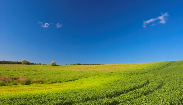 Milli Emlak yüzde 20 indirimle arsa ve arazi satıyor! Mayıs 2024 Milli Emlak ihale!