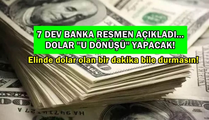 Elimizdeki dolarları satalım mı? 7 dev banka peş peşe açıkladı! Dolar ''U dönüşü'' yapacak! Görmedim, duymadım demeyin!