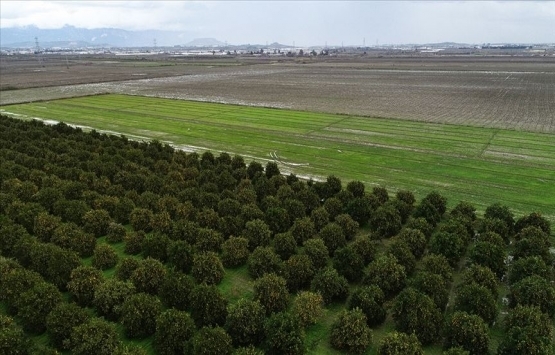 Tarıma dayalı yatırım projelerinde süre 1 Ağustos'a uzatıldı!