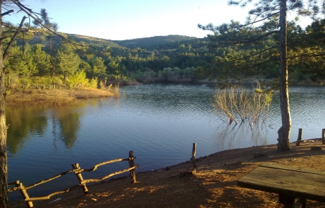 milli park alanları