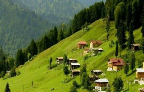 Yerli turist Doğu Karadeniz'i sevdi!