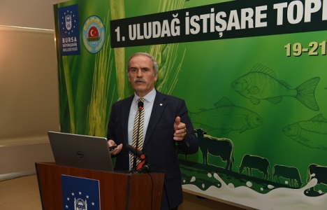 Recep Altepe: Kırsala yatırımda engel yok!