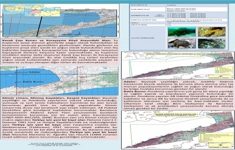 Saros Körfezi Biyoçeşitlilik Araştırma Projesi tamamlandı!