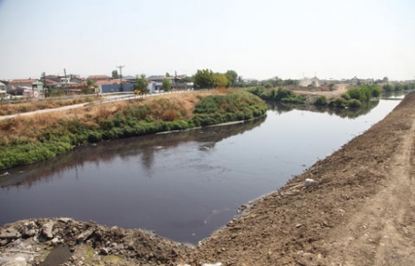 Nilüfer Çayı'nda balık tutulacak!