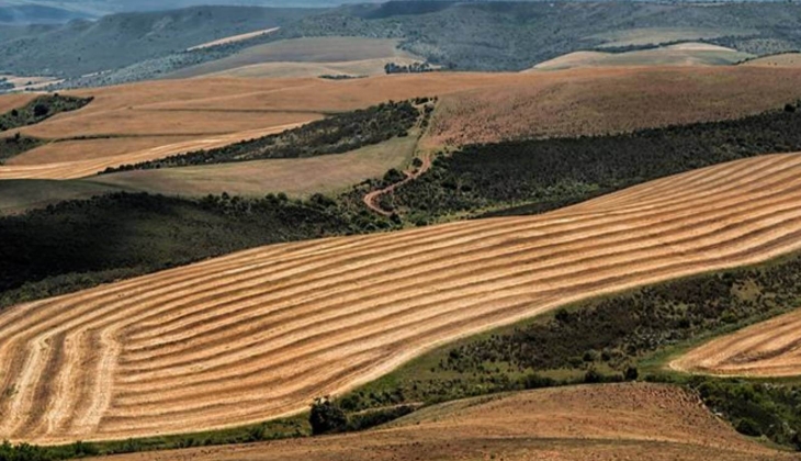 Bakan Murat Kurum dan 5 milyon kişiye müjdeli haber: Yıllardır tapu bekleyen vatandaş tapusuna kavuşacak!