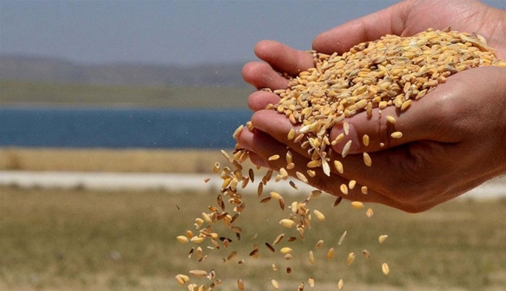 Rusya, Ukrayna limanları ile Tuna Nehri depolarını vurdu! Tahıl fiyatları uçtu: Buğday yüzde 6 primlendi!