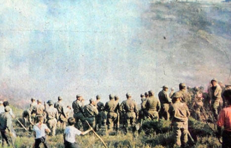 1985 yılında Kayışdağı'nda 100 bin çam fidanı kül olmuş!