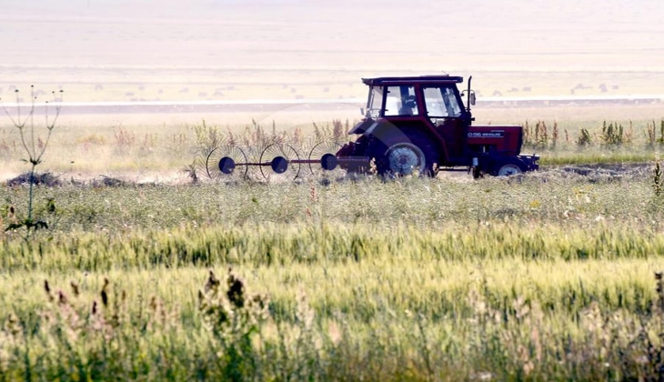 Çiftçiye ek destek müjdesi! Çeltik için 76, buğday için 42, ayçiçek için 37 TL ek destek ödemesi başladı!