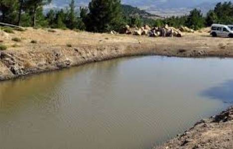 Isparta'da şifalı balıkların su kaynağı korumaya alınıyor!