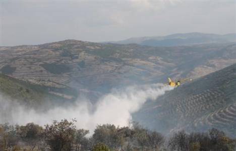 Balıkesir'in Sındırgı ilçesinde orman yangını çıktı!