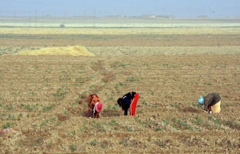 21. yüzyılın en önemli sorunu toprak!