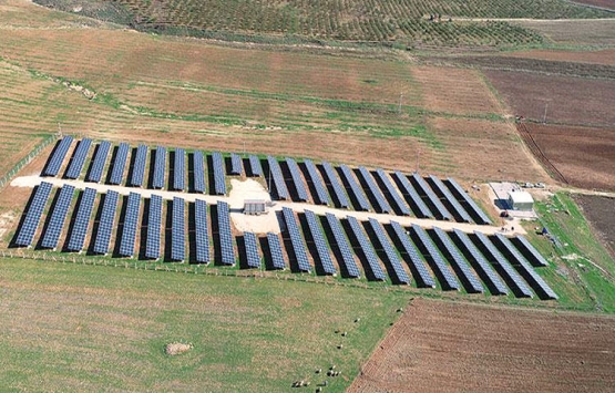 Şanlıurfalı girişimci arazisini güneş tarlasına çevirdi!