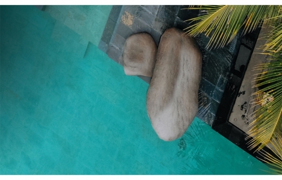 Astaş Mavi Arya nerede? Konum ve lokasyon bilgisi!