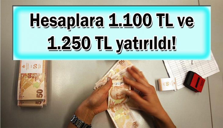 Aile Destek Programı ödemelerinde son dakika! Hesaplara tek tek 1.100 TL ve 1.250 TL yatırıldı! Bu paraları hemen alın!