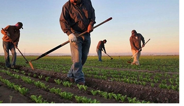 Çiftçilere müjde geldi! 10 milyon liraya kadar sıfır faizli kredi!