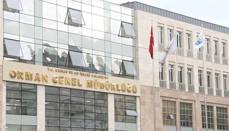 Orman Genel Müdürlüğü tarih verdi! 249 sözleşmeli personel alınacak... Çalışmak isteyenler bu habere baksın