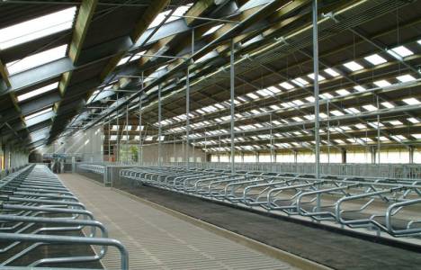 Gaziantep'te icradan 1.3 milyon TL'ye satılık hayvan besihanesi!