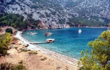 Adrasan'da ağaç kampanyası kapsamında şenlik yapıldı!