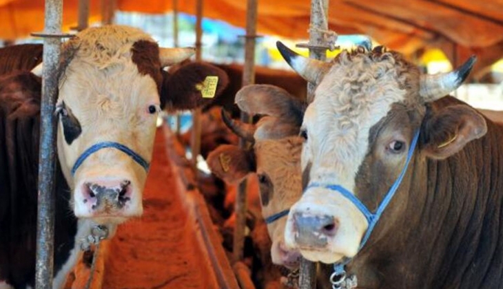 Kurban Bayramı nda bunu yapanlar yandı! Cezalar şimdiden belli oldu!