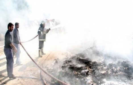  Şanlıurfa'da çırçır fabrikasında yangın çıktı!