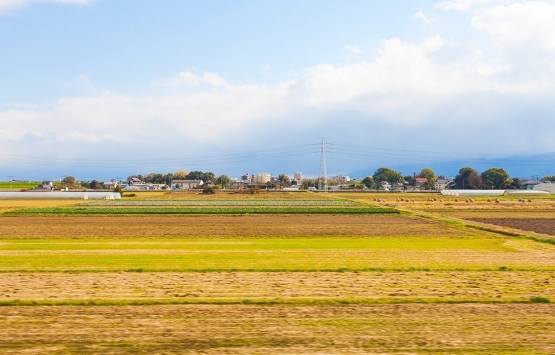 Tekirdağ'da 16.9 milyon TL'ye icradan satılık arsa!