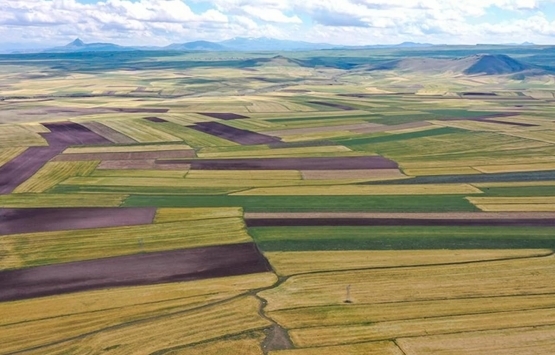 Kayseri Kocasinan da 11 milyon TL ye icradan satılık arsa!