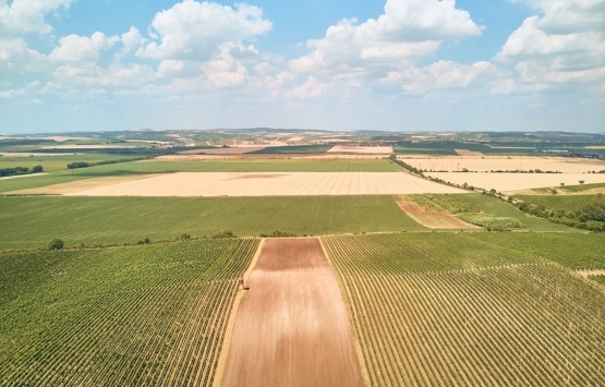 Arazi emlak vergisi 2021!