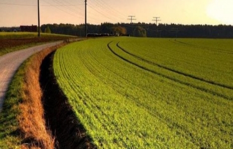 Ahmet Dündar, atıl arazilere talip!