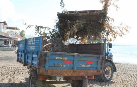 ALTİD Alanya'da sahilleri temizledi!