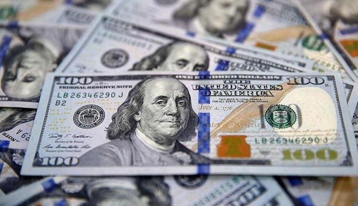 Dünyaca ünlü ekonomistten bomba tahmin: Dolar 7 lira birden düşecek!