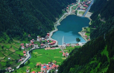Uzungöl teleferik projesine bürokrasi engeli!