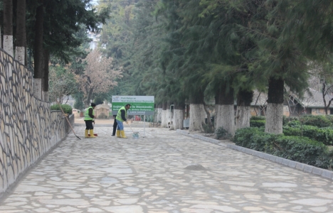 Hatay'da zemin yenileme çalışmaları başladı!