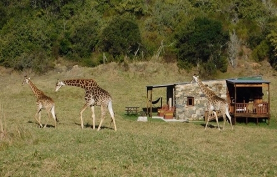 Dünyanın en sıradışı 25 Airbnb evi!